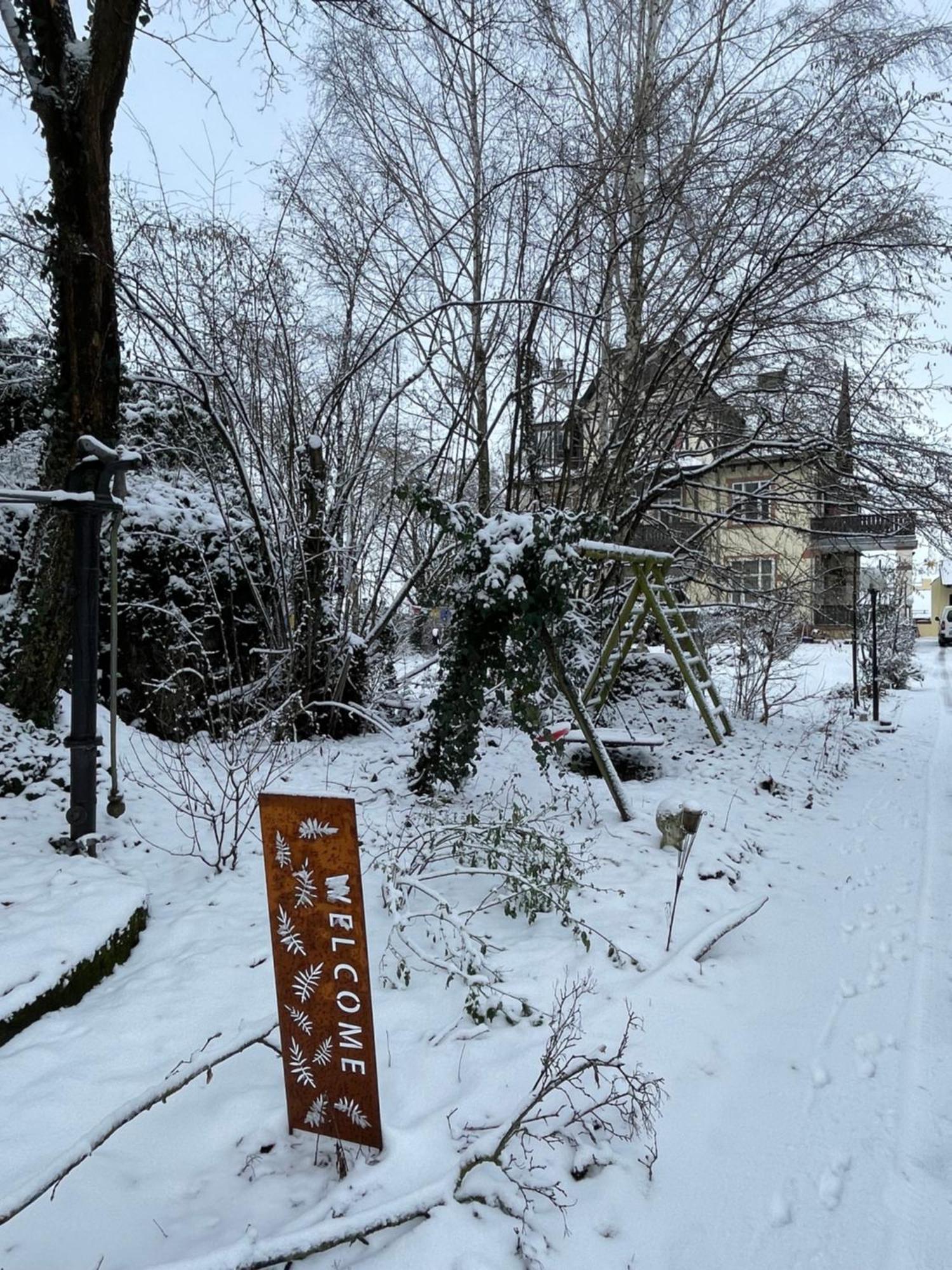 Gaestehaus Villa Fliedner - Das Kutscherhaus Monsheim  外观 照片